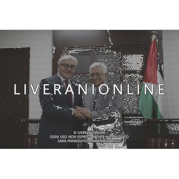 Palestinian president Mahmoud Abbas shake hands with German foreign minister Frank-Walter Steinmeier during their meeting in the West Bank city of Ramallah on July 15, 2014. (Xinhua/Fadi Arouri-POOL) AG ALDO LIVERANI SAS ONLY ITALY
