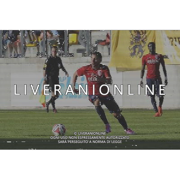 MARVIN MARTIN - 16.07.2014 - Lille / KV Courtrai - Match amical - 2014/2015 Photo : Aurelien Meunier / Icon Sport AG ALDO LIVERANI SAS ONLY ITALY