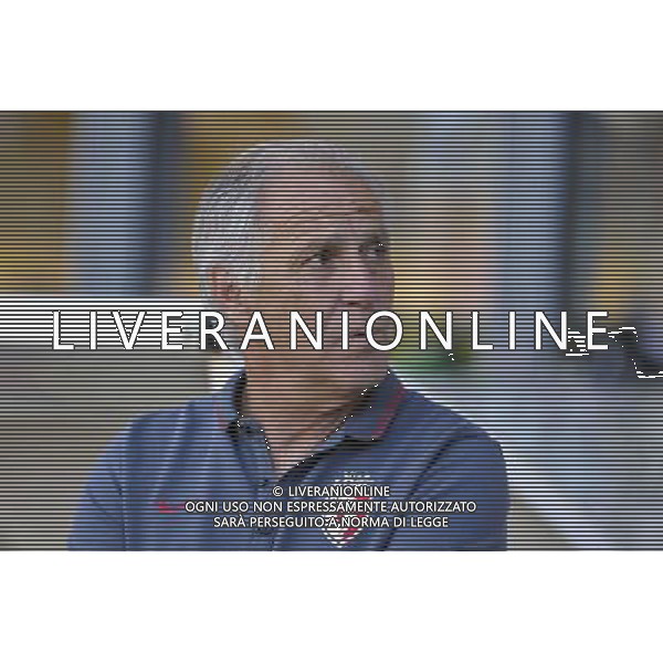 Rene Girard - 16.07.2014 - Lille / KV Courtrai - Match amical - 2014/2015 Photo : Aurelien Meunier / Icon Sport *** Local Caption *** AG ALDO LIVERANI SAS ONLY ITALY *** Local Caption *** AG ALDO LIVERANI SAS ONLY ITALY