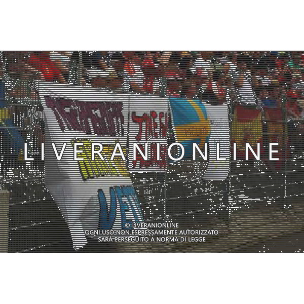 Fans\' Banners. 20.07.2014. Formula 1 World Championship, Rd 10, German Grand Prix, Hockenheim, Germany, Race Day. - www.xpbimages.com, EMail: requests@xpbimages.com - copy of publication required for printed pictures. Every used picture is fee-liable. © Copyright: Photo4 / XPB Images /AGENZIA ALDO LIVERANI SAS - ITALY ONLY - EDITORIAL USE ONLY - Gp F1 germania Gara