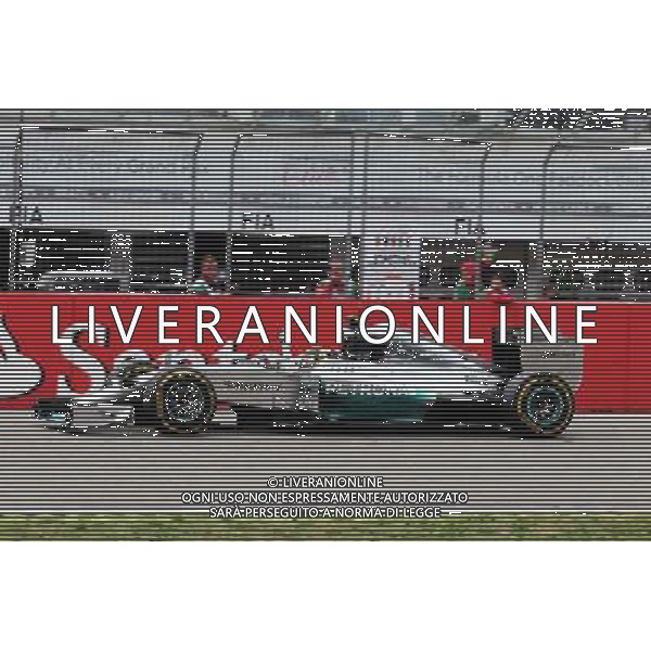 Race winner Nico Rosberg (GER) Mercedes AMG F1 W05 celebrates as he takes the chequered flag at the end of the race. 20.07.2014. Formula 1 World Championship, Rd 10, German Grand Prix, Hockenheim, Germany, Race Day. - www.xpbimages.com, EMail: requests@xpbimages.com - copy of publication required for printed pictures. Every used picture is fee-liable. © Copyright: Moy / XPB Images - Gp F1 Germania gara /AGENZIA ALDO LIVERANI SAS - ITALY ONLY - EDITORIAL USE ONLY