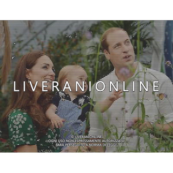 his photo dated Wednesday July 2, 2014, was taken to mark Prince George\'s first birthday and shows the Duke and Duchess of Cambridge and the Prince during a visit to the Sensational Butterflies exhibition at the Natural History Museum, London. - REALI INGLESI: Il principe William con la moglie Kate e il figlio George durante una visita alla mostra di Farfalle al Museo di Storia Naturale di Londra 02 luglio 2014 