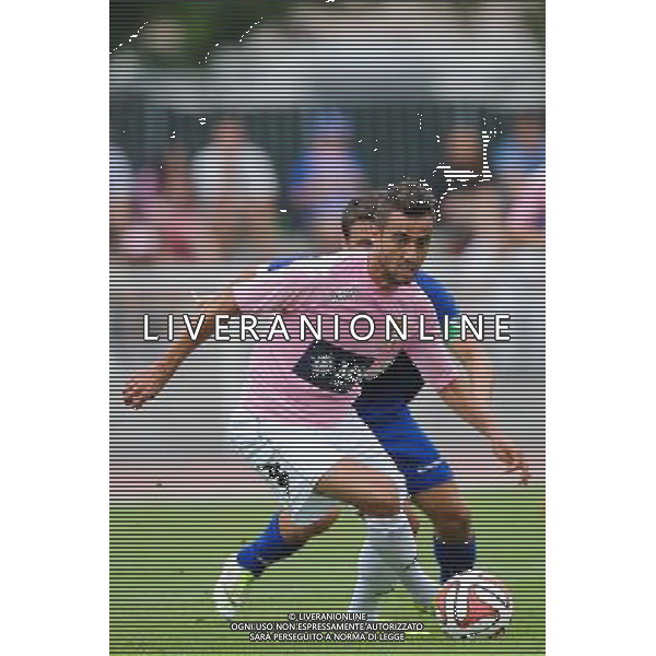 Fabien CAMUS - 19.07.2014 - Bastian / Evian Thonon - Match Amical Photo : Jean Paul Thomas / Icon Sport AG ALDO LIVERANI SAS ONLY ITALY