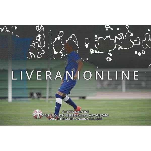 Francois MODESTO - 19.07.2014 - Bastia / Evian Thonon - Match Amical Photo : Jean Paul Thomas / Icon Sport AG ALDO LIVERANI SAS ONLY ITALY