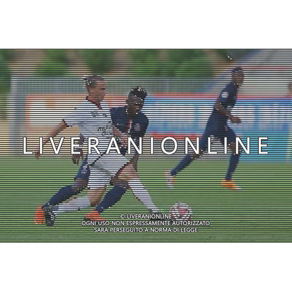 Niklas HULT - 23.07.2014 - Paris Saint Germain / Nice - Match Amical Photo : Nicolas Guyonnet / Icon Sport AG ALDO LIVERANI SAS ONLY ITALY