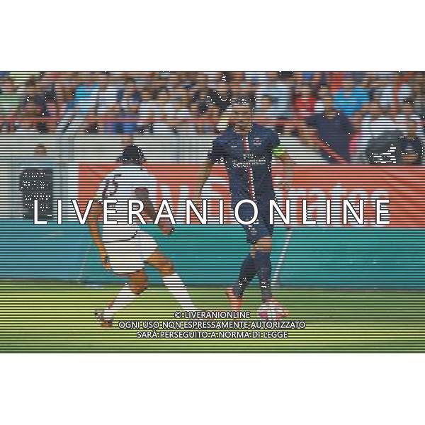 Zlatan IBRAHIMOVIC - 23.07.2014 - Paris Saint Germain / Nice - Match Amical Photo : Nicolas Guyonnet / Icon Sport AG ALDO LIVERANI SAS ONLY ITALY