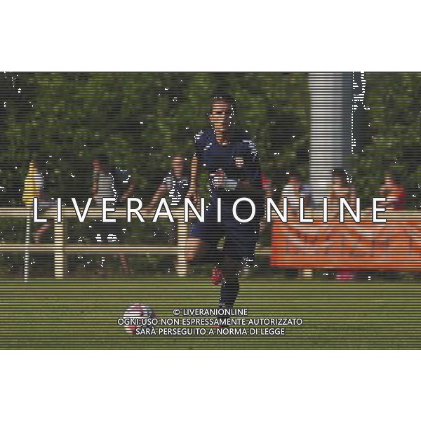 Cadric CAMBON - 23.07.2014 - Lorient / Evian Thonon - Match de preparation - Ligue 1 2014/2015 Photo : Philippe Le Brech / Icon Sport /AGENZIA ALDO LIVERANI SAS - ITALY ONLY - EDITORIAL USE ONLY