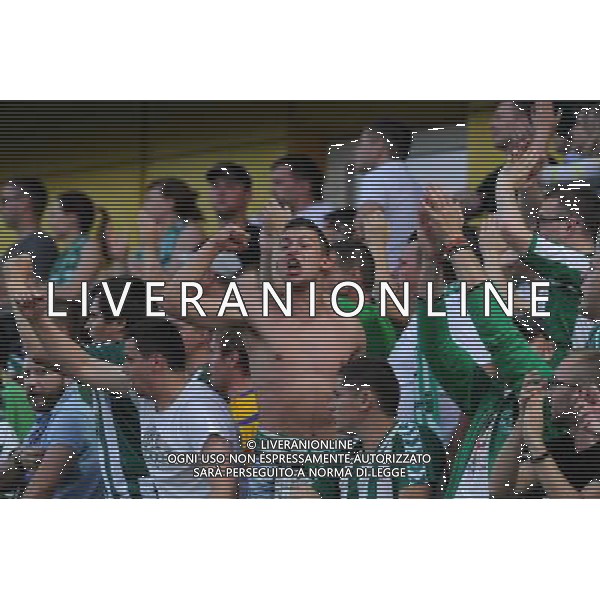 (140723) -- VILNIUS, July 23, 2014 () -- Fans of Zalgiris cheer during the second leg of the second qualifying round of UEFA Champions League between Zalgiris and Dinamo Zagreb in Vilnius, Lithuania, on July 22, 2014. Dinamo Zagreb won the match 2-0. (/Alfredas Pliadis) ©photoshot/AGENZIA ALDO LIVERANI SAS - ITALY ONLY - EDITORIAL USE ONLY