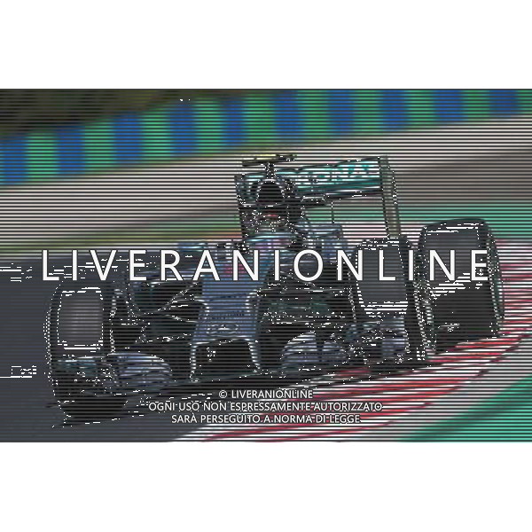 Nico Rosberg (GER) Mercedes AMG F1 W05. 25.07.2014. Formula 1 World Championship, Rd 11, Hungarian Grand Prix, Budapest, Hungary, Practice Day. - www.xpbimages.com, EMail: requests@xpbimages.com - copy of publication required for printed pictures. Every used picture is fee-liable. © Copyright: Moy / XPB Images AG ALDO LIVERANI SAS ONLY ITALY