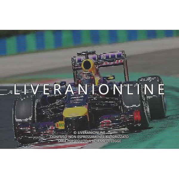 Sebastian Vettel (GER) Red Bull Racing RB10. 25.07.2014. Formula 1 World Championship, Rd 11, Hungarian Grand Prix, Budapest, Hungary, Practice Day. - www.xpbimages.com, EMail: requests@xpbimages.com - copy of publication required for printed pictures. Every used picture is fee-liable. © Copyright: Moy / XPB Images AG ALDO LIVERANI SAS ONLY ITALY