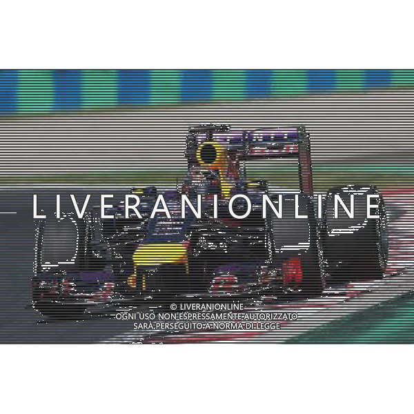 Sebastian Vettel (GER) Red Bull Racing RB10. 25.07.2014. Formula 1 World Championship, Rd 11, Hungarian Grand Prix, Budapest, Hungary, Practice Day. - www.xpbimages.com, EMail: requests@xpbimages.com - copy of publication required for printed pictures. Every used picture is fee-liable. © Copyright: Moy / XPB Images AG ALDO LIVERANI SAS ONLY ITALY