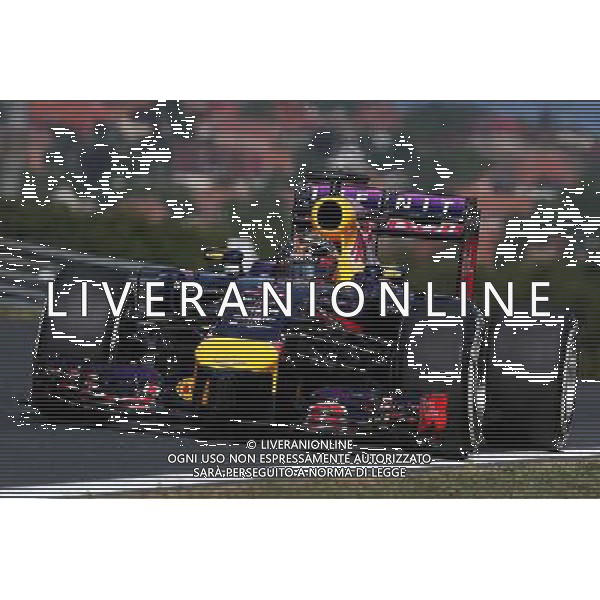 Sebastian Vettel (GER) Red Bull Racing RB10. 25.07.2014. Formula 1 World Championship, Rd 11, Hungarian Grand Prix, Budapest, Hungary, Practice Day. - www.xpbimages.com, EMail: requests@xpbimages.com - copy of publication required for printed pictures. Every used picture is fee-liable. © Copyright: Moy / XPB Images AG ALDO LIVERANI SAS ONLY ITALY