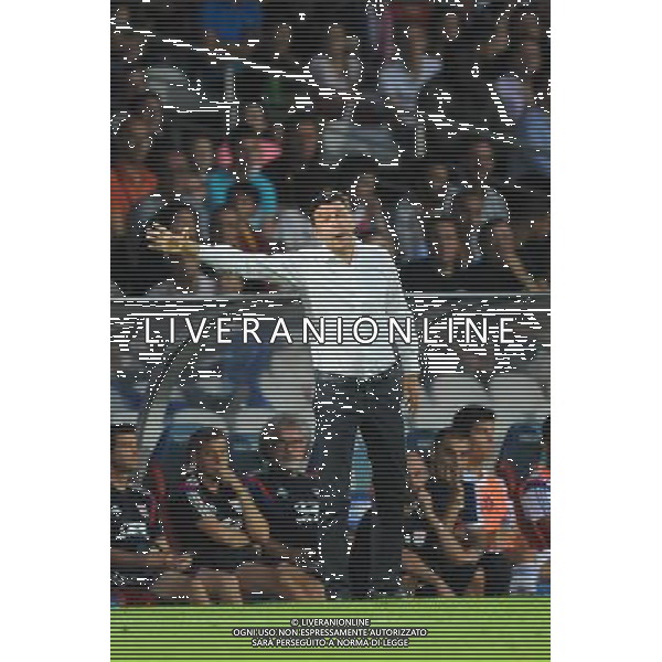 Hubert FOURNIER - 23.07.2014 - Lyon / Seville - Match Amical - Photo : Jean Paul Thomas / Icon Sport AG ALDO LIVERANI SAS ONLY ITALY