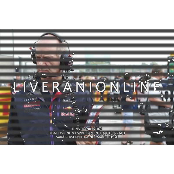 Adrian Newey (GBR) Red Bull Racing Chief Technical Officer on the grid. 27.07.2014. Formula 1 World Championship, Rd 11, Hungarian Grand Prix, Budapest, Hungary, Race Day. - www.xpbimages.com, EMail: requests@xpbimages.com - copy of publication required for printed pictures. Every used picture is fee-liable. © Copyright: Batchelor / XPB Images ag aldo liverani sas only italy