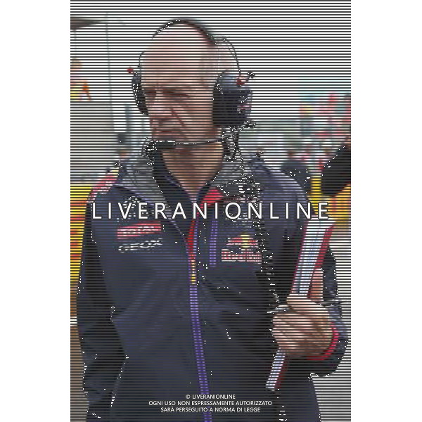 Adrian Newey (GBR) Red Bull Racing Chief Technical Officer on the grid. 27.07.2014. Formula 1 World Championship, Rd 11, Hungarian Grand Prix, Budapest, Hungary, Race Day. - www.xpbimages.com, EMail: requests@xpbimages.com - copy of publication required for printed pictures. Every used picture is fee-liable. © Copyright: Batchelor / XPB Images ag aldo liverani sas only italy