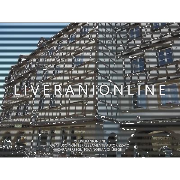 Colmar (Kolmar in tedesco, Colmer in alsaziano)  un comune francese di 68.843 abitanti capoluogo del dipartimento dell\'Alto Reno nella regione dell\'Alsazia AG ALDO LIVERANI SAS