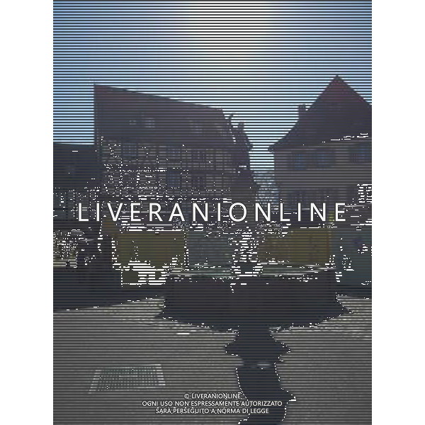 Colmar (Kolmar in tedesco, Colmer in alsaziano)  un comune francese di 68.843 abitanti capoluogo del dipartimento dell\'Alto Reno nella regione dell\'Alsazia AG ALDO LIVERANI SAS