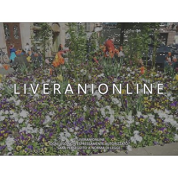 Colmar (Kolmar in tedesco, Colmer in alsaziano)  un comune francese di 68.843 abitanti capoluogo del dipartimento dell\'Alto Reno nella regione dell\'Alsazia AG ALDO LIVERANI SAS