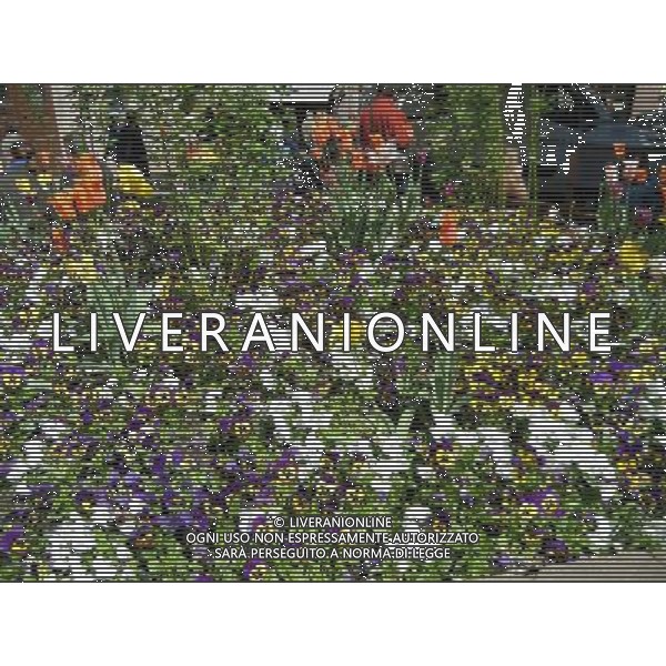 Colmar (Kolmar in tedesco, Colmer in alsaziano)  un comune francese di 68.843 abitanti capoluogo del dipartimento dell\'Alto Reno nella regione dell\'Alsazia AG ALDO LIVERANI SAS