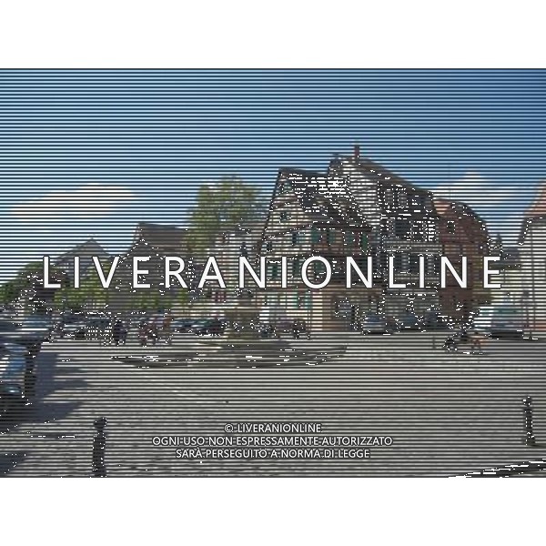 Colmar (Kolmar in tedesco, Colmer in alsaziano)  un comune francese di 68.843 abitanti capoluogo del dipartimento dell\'Alto Reno nella regione dell\'Alsazia AG ALDO LIVERANI SAS