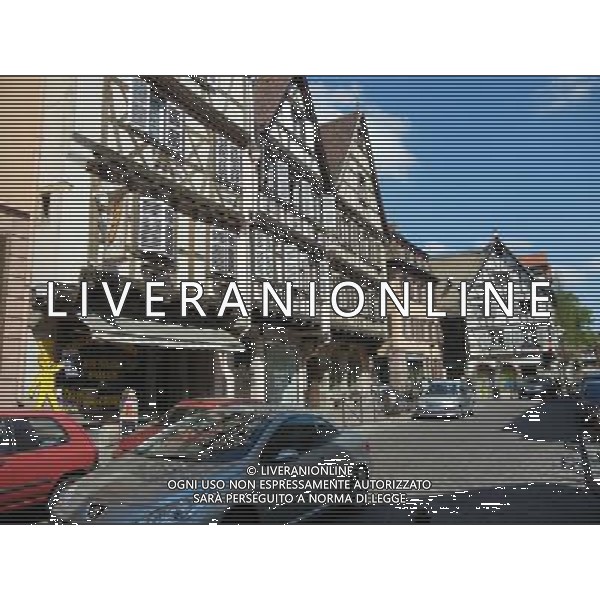 Colmar (Kolmar in tedesco, Colmer in alsaziano)  un comune francese di 68.843 abitanti capoluogo del dipartimento dell\'Alto Reno nella regione dell\'Alsazia AG ALDO LIVERANI SAS