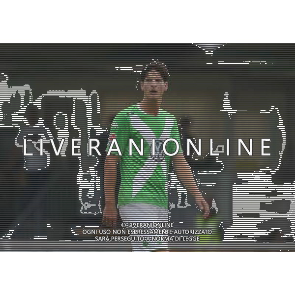 firo : 08.07.2014 Fu§ball,1.Bundesliga, Saison 2014/2015 VfL Wolfsburg, Testspiel, Timm KLOSE, halbe Figur $worldrightsEs gelten unsere AGB, einsehbar auf www.firosportphoto.de, copyright by firo sportphoto: Coesfelder Str. 207 D-48249 DŸlmen www.firosportphoto.de mail@firosportphoto.de (V o l k s b a n k B o c h u m - W i t t e n ) BLZ.: 430 601 29 Kt. Nr.: 341 117 100 Tel:Ê +49-2594-9916004 Fax:Ê+49-2594-9916005 AG ALDOL IVERANI SAS ONLY ITALY