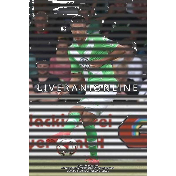 firo : 08.07.2014 Fu§ball,1.Bundesliga, Saison 2014/2015 VfL Wolfsburg, Testspiel, Slobodan MEDOJEVIC, Einzelaktion $worldrightsEs gelten unsere AGB, einsehbar auf www.firosportphoto.de, copyright by firo sportphoto: Coesfelder Str. 207 D-48249 DŸlmen www.firosportphoto.de mail@firosportphoto.de (V o l k s b a n k B o c h u m - W i t t e n ) BLZ.: 430 601 29 Kt. Nr.: 341 117 100 Tel:Ê +49-2594-9916004 Fax:Ê+49-2594-9916005 AG ALDOL IVERANI SAS ONLY ITALY