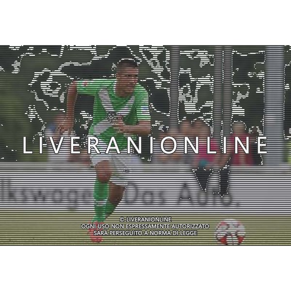 firo : 08.07.2014 Fu§ball,1.Bundesliga, Saison 2014/2015 VfL Wolfsburg, Testspiel, Slobodan MEDOJEVIC, Einzelaktion $worldrightsEs gelten unsere AGB, einsehbar auf www.firosportphoto.de, copyright by firo sportphoto: Coesfelder Str. 207 D-48249 DŸlmen www.firosportphoto.de mail@firosportphoto.de (V o l k s b a n k B o c h u m - W i t t e n ) BLZ.: 430 601 29 Kt. Nr.: 341 117 100 Tel:Ê +49-2594-9916004 Fax:Ê+49-2594-9916005 AG ALDOL IVERANI SAS ONLY ITALY