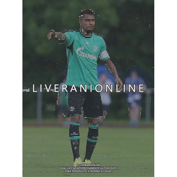 firo Fu§ball,Fussball, 23.07.2014 1. Bundesliga Saison 2014/2015 Vorbereitung, TL, Trainingslager in Grassau, Chiemsee, Testspiel Sportbund DJK Rosenheim - FC Schalke 04 Schalke, Kevin-Prince Boateng, Gestik, ganze FIgur $worldrightsEs gelten unsere AGB, einsehbar auf www.firosportphoto.de copyright by firo sportphoto: Coesfelder Str. 207 D- 48249 DŸlmen www.firosportphoto.de mail@firosportphoto.de (V o l k s b a n k B o c h u m - W i t t e n ) BLZ.: 430 601 29 Kt. Nr.: 341 117 100 Tel: +49-2594 - 9916004 Fax: +49-2594 - 9916005 AG ALDO LIVERANI SAS ONLY ITALY