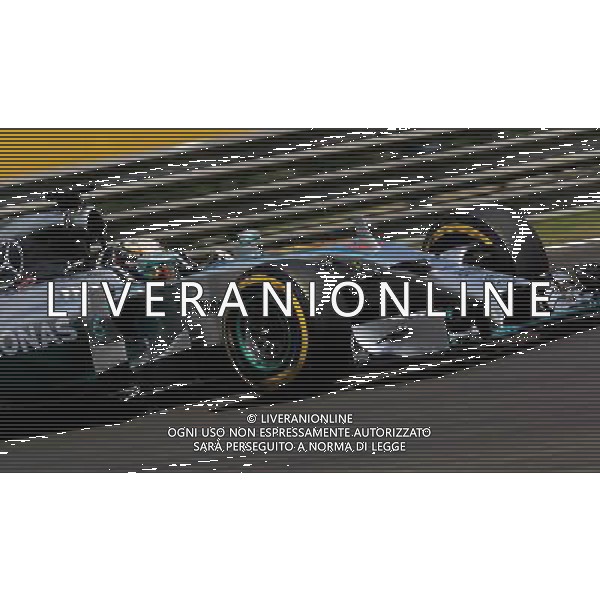  Lewis Hamilton (GB#44), Mercedes AMG Petronas F1 Team Formula 1 Pirelli Hungarian Grand Prix 2014, 25.07.-27.07.14 AG ALDO LIVERANI SAS ONLY ITALY