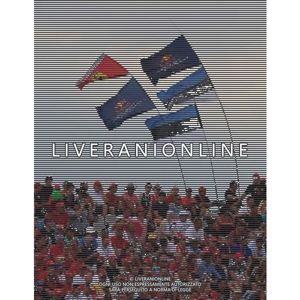  Spectators, Zuschauer Formula 1 Pirelli Hungarian Grand Prix 2014, 25.07.-27.07.14 AG ALDO LIVERANI SAS ONLY ITALY