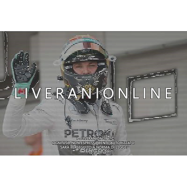 (140727) -- MOGYOROD, July 27, 2014() -- Mercedes Formula One driver Nico Rosberg of Germany reacts after winning the qualifying session of the F1 Hungarian Grand Prix at Hungaroring in Mogyorod, Hungary on July 26, 2014. Nico Rosberg took pole position. This is his 6th pole position of the year.(/Jure Makovec) ©PHOTOSHOT/Agenzia Aldo Liverani sas - ITALY ONLY - EDITORIAL USE ONLY - GP UNGHERIA F1