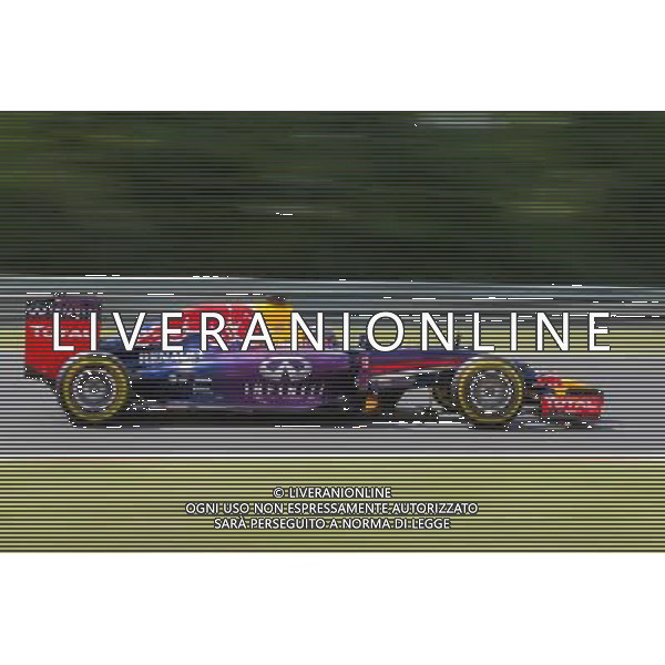 (140727) -- MOGYOROD, July 27, 2014() -- Red Bull Formula One driver Sebastian Vettel of Germany drives his car during the qualifying session of the F1 Hungarian Grand Prix at Hungaroring in Mogyorod, Hungary on July 26, 2014. Sebastian Vettel placed second behind Mercedes\' Nico Rosberg. (/Jure Makovec) ©PHOTOSHOT/Agenzia Aldo Liverani sas - ITALY ONLY - EDITORIAL USE ONLY - GP UNGHERIA F1