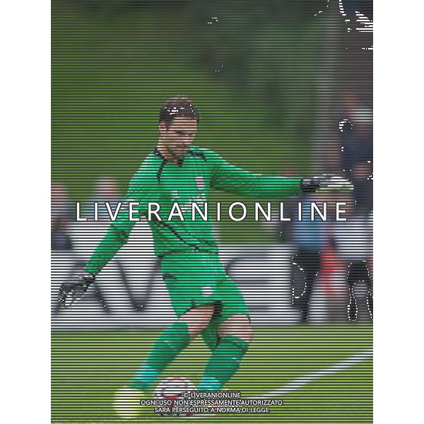 Asmir Begovic (Stoke City) // during a Friendly Match between FC Schalke 04 and Stoke City at the Kufstein Arena, Kufstein, Austria on 2014/07/29. EXPA Pictures © 2014, PhotoCredit: EXPA/ Johann Groder AG ALDO LIVERANI SAS ONLY ITALY