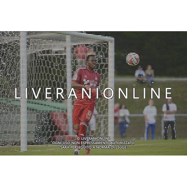 Steve MANDANDA - 27.07.2014 - Marseille / Willem II - Match amical Photo : Gaston Petrelli / Icon Sport AG ALDO LIVERANI SAS ONLY ITALY