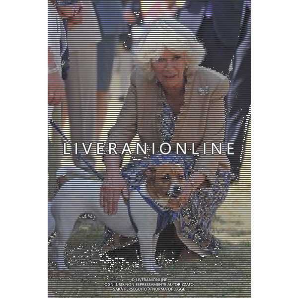 The Duchess of Cornwall pats a dog as she meets the waiting public during her visit to the Sandringham flower show held on the Royal Estate in Norfolk. ©photoshot/Agenzia Aldo Liverani sas - ITALY ONLY - REALI INGLESI: Camilla Duchessa di Cornovaglia durante la sua visita alla mostra floreale Sandringham tenutasi sul Royal Estate a Norfolk.