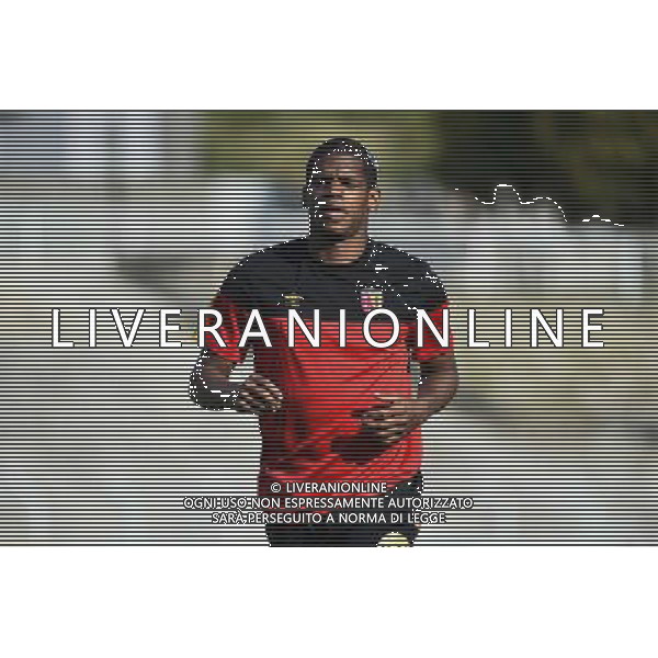 Ludovic BAAL - 30.07.2014 - Lens / Charleroi - Match Amical Photo : Fred Porcu / Icon Sport /Agenzia Aldo Liverani sas - ITALY ONLY - Lens Vs Charleroi Partita Amichevole 30 luglio 2014