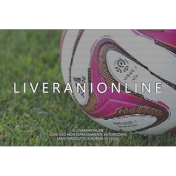 Ballon ligue 1 - 01.08.2014 - Bahlingen / Rennes - Match Amical Photo : Steeve Constanty / Icon Sport ag aldo liverani sas only italy
