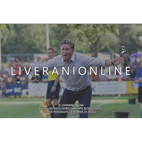 Philippe Montanier - 01.08.2014 - Bahlingen / Rennes - Match Amical Photo : Steeve Constanty / Icon Sport ag aldo liverani sas only italy