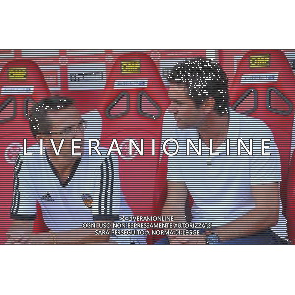 SYLVAIN RIPOLL / REGIS BOUYAUX - 02.08.2014 - Reims / Lorient - Match Amical Photo : Aurelien Meunier / Icon Sport AG ALDO LIVERANI SAS ONLY ITALY