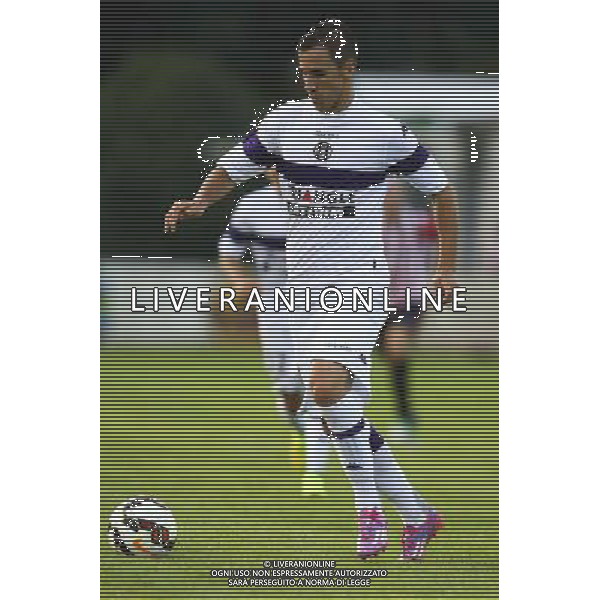 Alexander Pesic - 02.08.2014 - Toulouse / Athletic Bilbao - Match Amical Photo : Manuel Blondeau / Icon Sport /Agenzia Aldo Liverani sas - ITALY ONLY - EDITORIAL USE ONLY