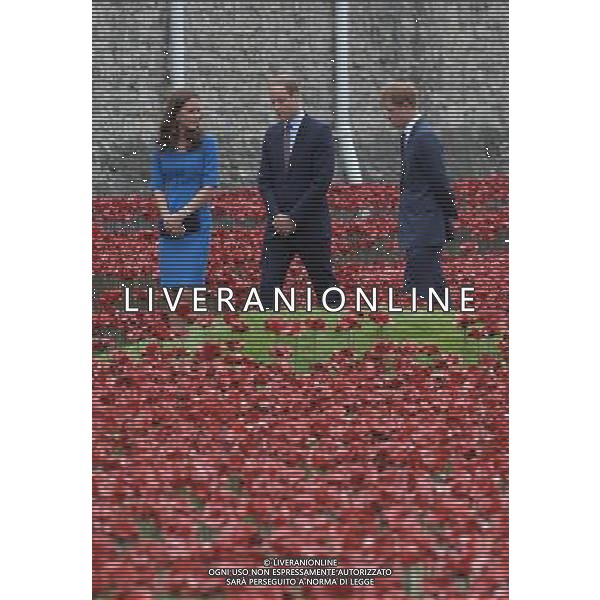 The Duke and Duchess of Cambridge with Prince Harry view the Tower of London\'s \'Blood Swept Lands and Seas of Red\' poppy installation to commemorate the 100th anniversary of the outbreak of First World War. ©PHOTOSHOT/Agenzia Aldo Liverani sas - ITALY ONLY - EDITORIAL USE ONLY - REALI INGLESI: Membri della famiglia reale durante la commemorazione del centenario dello scoppio della prima guerra mondiale a Londra, Lunedi, 4 agosto 2014.