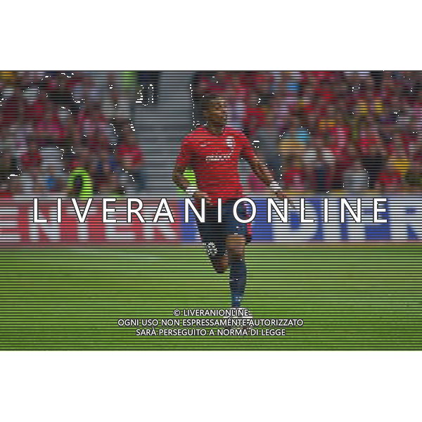 Franck BERIA - 05.08.2014 - Lille / Grasshopper Zurich - 3emeTour Champions League Photo : Dave Winter / Icon Sport