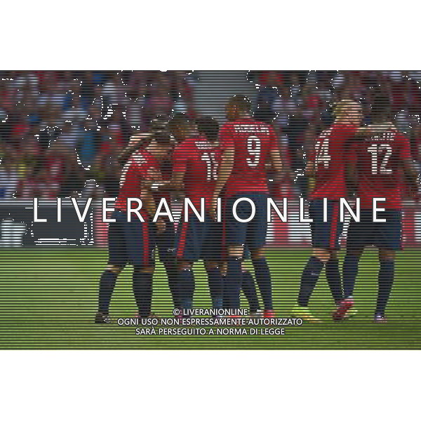 Joie Lille - Florent BALMONT - 05.08.2014 - Lille / Grasshopper Zurich - 3emeTour Champions League Photo : Dave Winter / Icon Sport