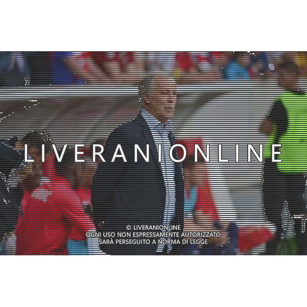 Rene GIRARD - 05.08.2014 - Lille / Grasshopper Zurich - 3emeTour Champions League Photo : Dave Winter / Icon Sport