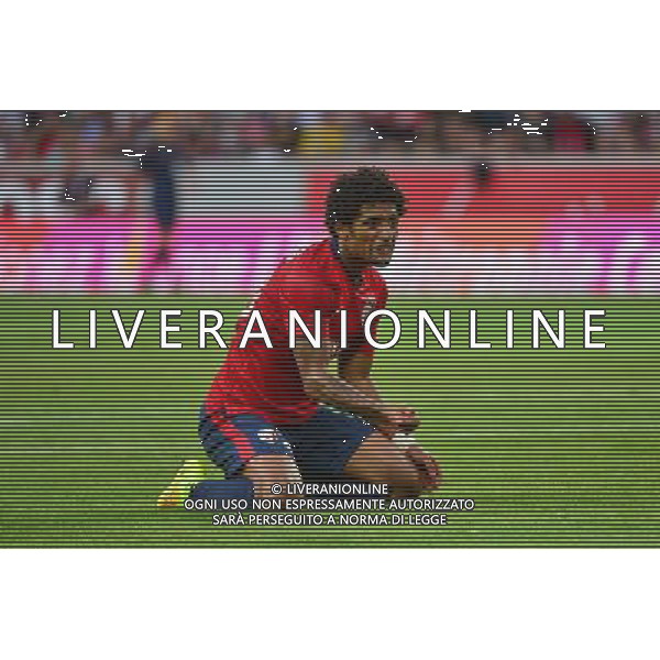 Ryan MENDES - 05.08.2014 - Lille / Grasshopper Zurich - 3emeTour Champions League Photo : Dave Winter / Icon Sport