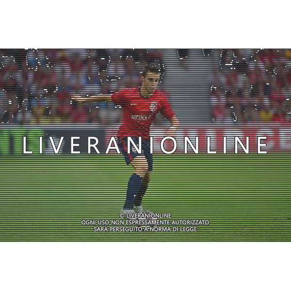 Sebastien CORCHIA - 05.08.2014 - Lille / Grasshopper Zurich - 3emeTour Champions League Photo : Dave Winter / Icon Sport