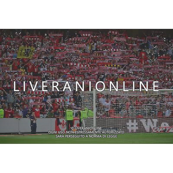 Supporters de Lille - 05.08.2014 - Lille / Grasshopper Zurich - 3emeTour Champions League Photo : Dave Winter / Icon Sport