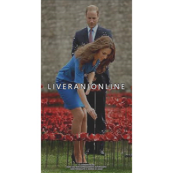 The Duchess of Cambridge adds a ceramic poppy, watched by her husband the Duke of Cambridge as they view the Tower of London\'s \'Blood Swept Lands and Seas of Red\' poppy installation which commemorate the 100th anniversary of the outbreak of First World War. AG ALDO LIVERANI SAS ONLY ITALY