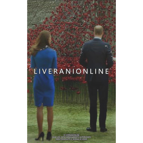 The Duke and Duchess of Cambridge accompanied by Prince Harry view the Tower of London\'s \'Blood Swept Lands and Seas of Red\' poppy installation which commemorate the 100th anniversary of the outbreak of First World War. AG ALDO LIVERANI SAS ONLY ITALY